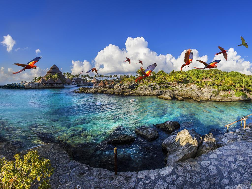 Occidental At Xcaret Destination Hotel Xcaret Park Екстериор снимка Parrots at Xel-Há